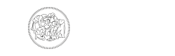 POLITesi